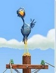 Bird Loop | Tono para celular